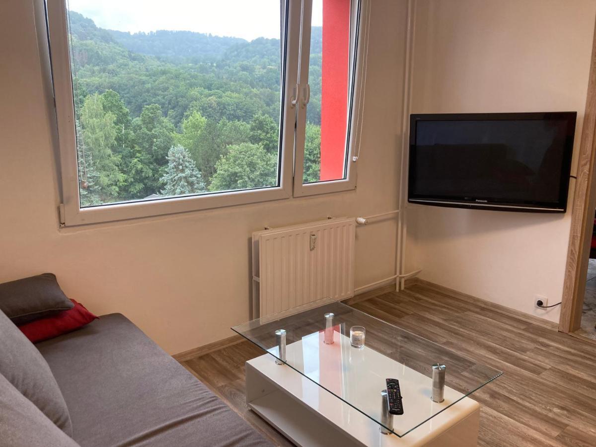 Appartamento U Kosmonauta Decin Esterno foto